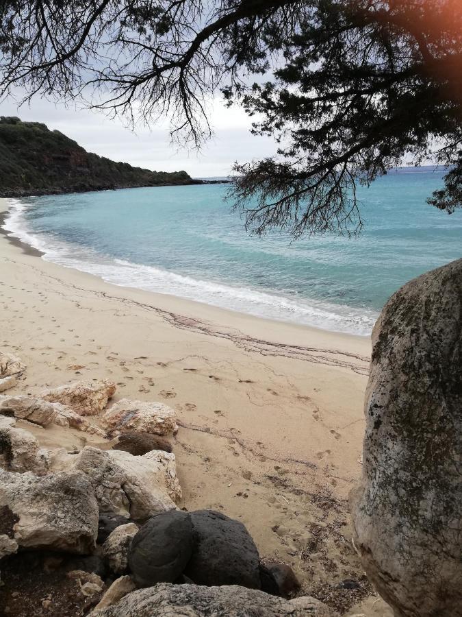 Appartamenti Le Conchiglie E Le Stelle Marine Cala Gonone Exteriör bild