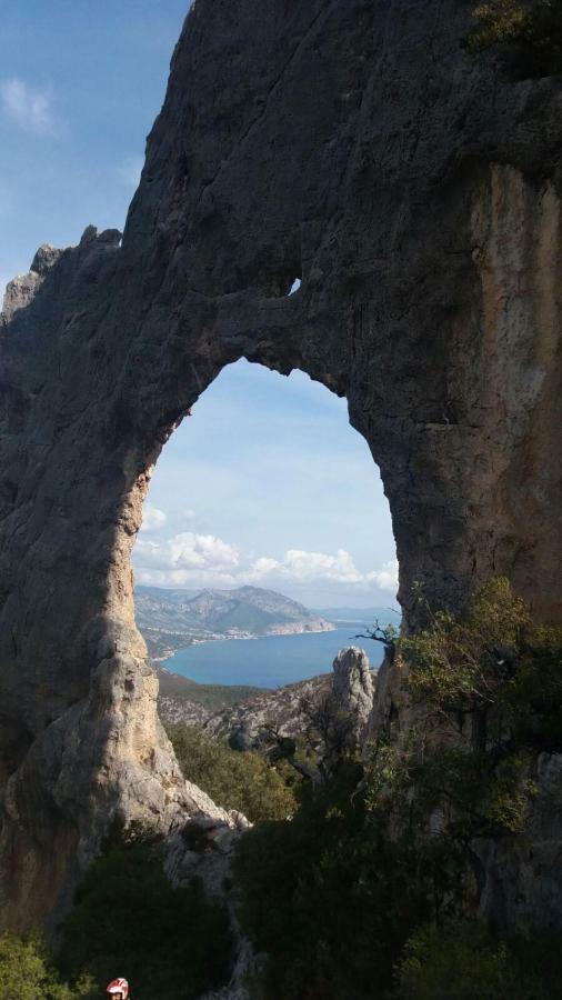 Appartamenti Le Conchiglie E Le Stelle Marine Cala Gonone Exteriör bild